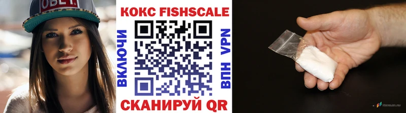 как найти   Тула  КОКАИН Fish Scale 