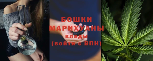 PSILOCYBIN Абдулино
