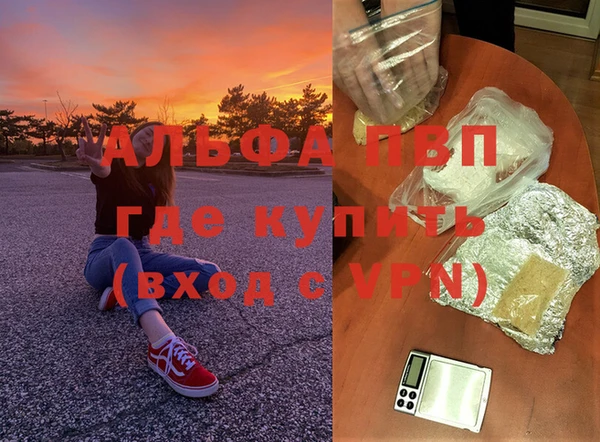 PSILOCYBIN Абдулино