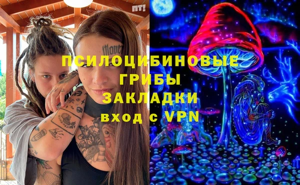 мет Новозыбков