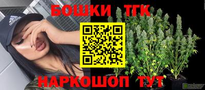 прущие грибы Севастополь