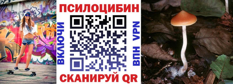 магазин наркотиков Тула mega зеркало Псилоцибиновые грибы Magic Shrooms