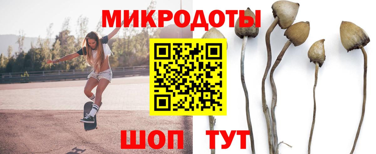 Псилоцибиновые грибы мухоморы Тула